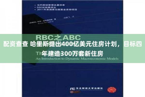 配资查查 哈里斯提出400亿美元住房计划，目标四年建造300万套新住房