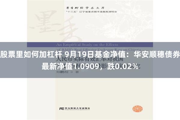 股票里如何加杠杆 9月19日基金净值：华安顺穗债券最新净值1.0909，跌0.02%