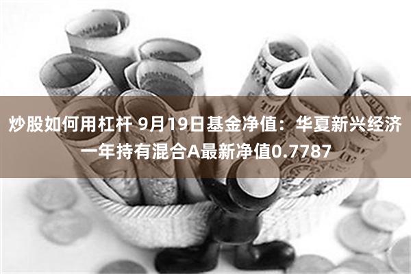 炒股如何用杠杆 9月19日基金净值：华夏新兴经济一年持有混合A最新净值0.7787