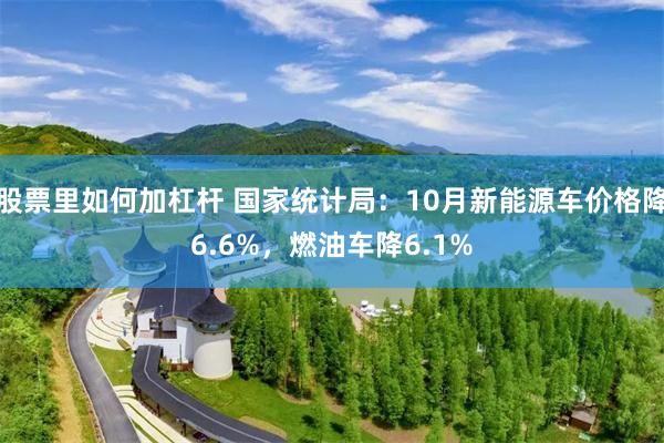 股票里如何加杠杆 国家统计局：10月新能源车价格降6.6%，燃油车降6.1%