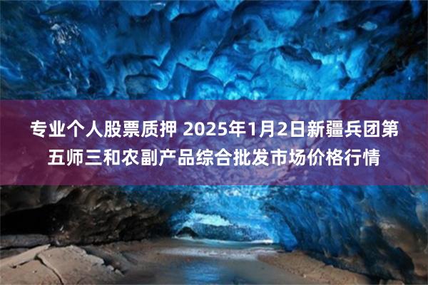 专业个人股票质押 2025年1月2日新疆兵团第五师三和农副产品综合批发市场价格行情