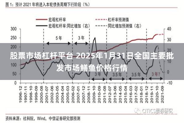 股票市场杠杆平台 2025年1月31日全国主要批发市场鳝鱼价格行情