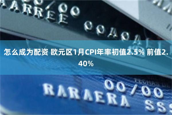 怎么成为配资 欧元区1月CPI年率初值2.5% 前值2.40%