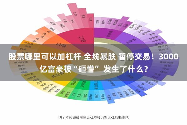 股票哪里可以加杠杆 全线暴跌 暂停交易！3000亿富豪被“砸懵” 发生了什么？