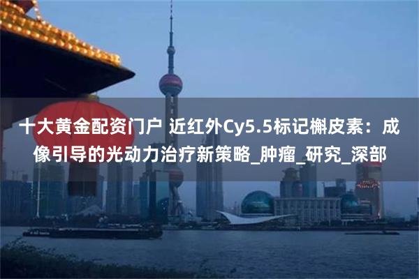 十大黄金配资门户 近红外Cy5.5标记槲皮素：成像引导的光动力治疗新策略_肿瘤_研究_深部
