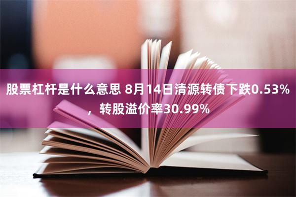 股票杠杆是什么意思 8月14日清源转债下跌0.53%，转股溢价率30.99%