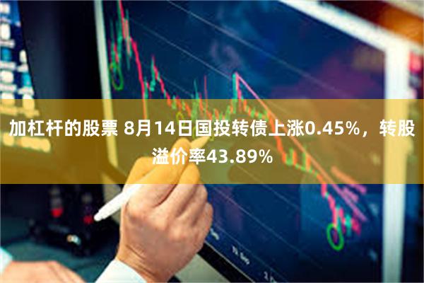 加杠杆的股票 8月14日国投转债上涨0.45%，转股溢价率43.89%