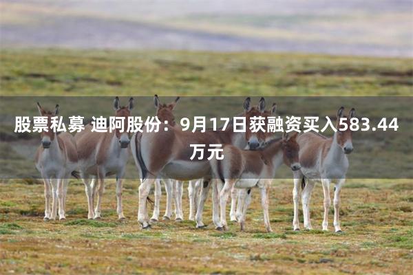 股票私募 迪阿股份：9月17日获融资买入583.44万元